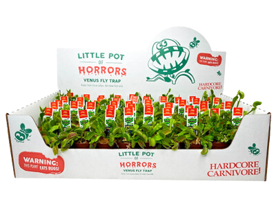 2" Venus Flytrap w/ Display (Box of 50)